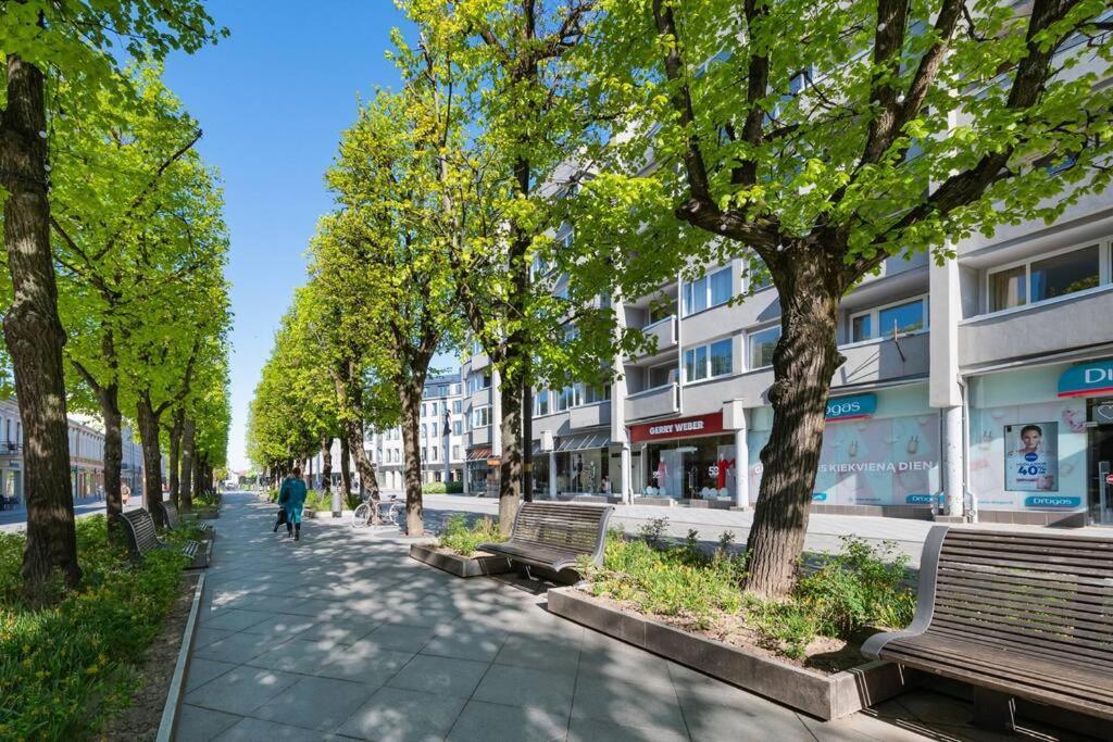 Central 2 Bd Apartment By Hostlovers Kaunas Exterior photo