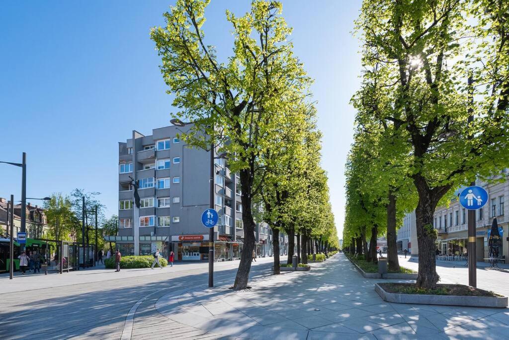 Central 2 Bd Apartment By Hostlovers Kaunas Exterior photo