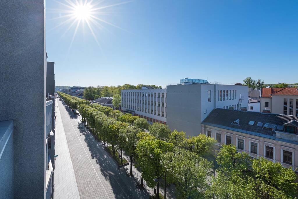 Central 2 Bd Apartment By Hostlovers Kaunas Exterior photo